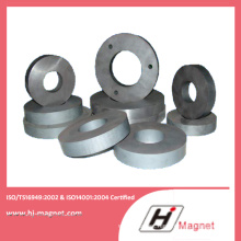 Y30bh/C8 Optimal Price Customized Various Shapes Ferrite Magnet Permanent